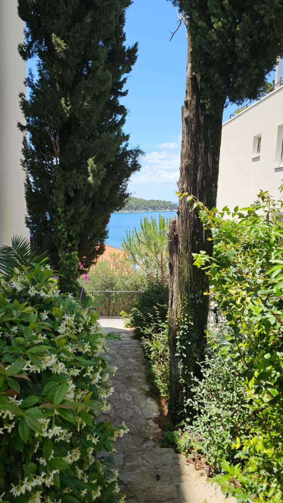 Residence Alpha Apartments Cavtat Exterior foto